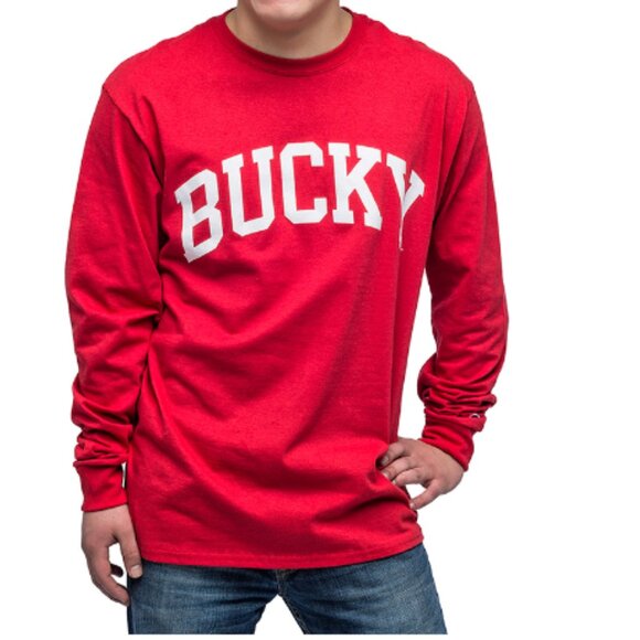 Champion University of Wisconsin Bucky T-shirt - Unisex size L - Picture 2 of 6